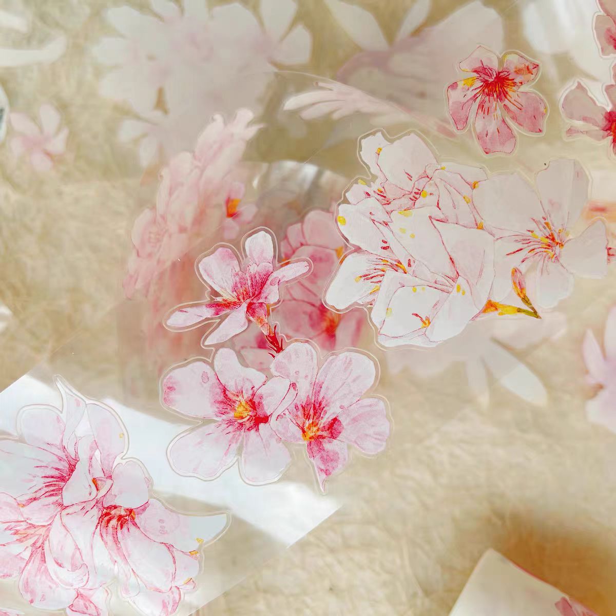 Journal tape (6cm*5m/roll) Dingding