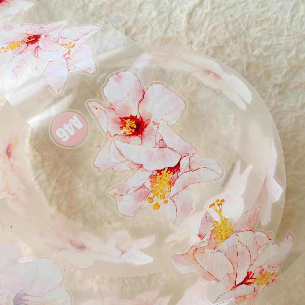 Journal tape (5cm*5m/roll) Dingding