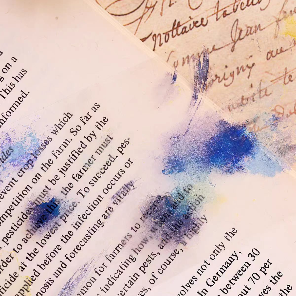 Journal tape (Blooming) 6m/roll