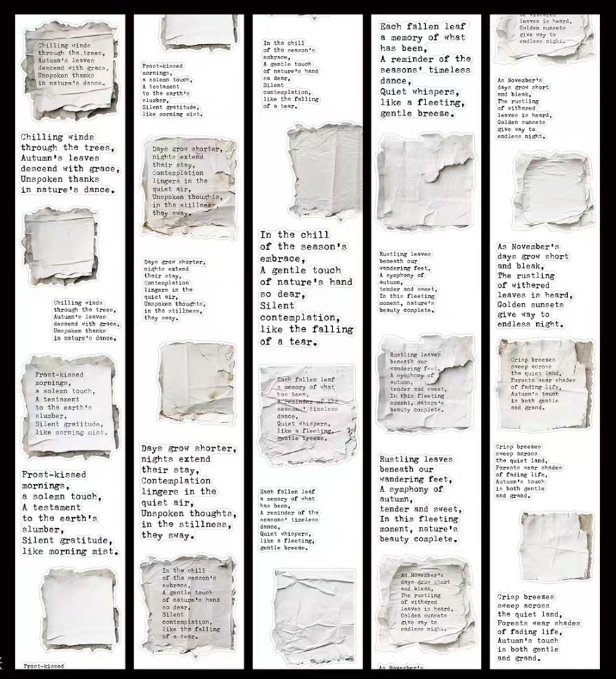 Journal pre-cut tape (6cm*5m/roll)