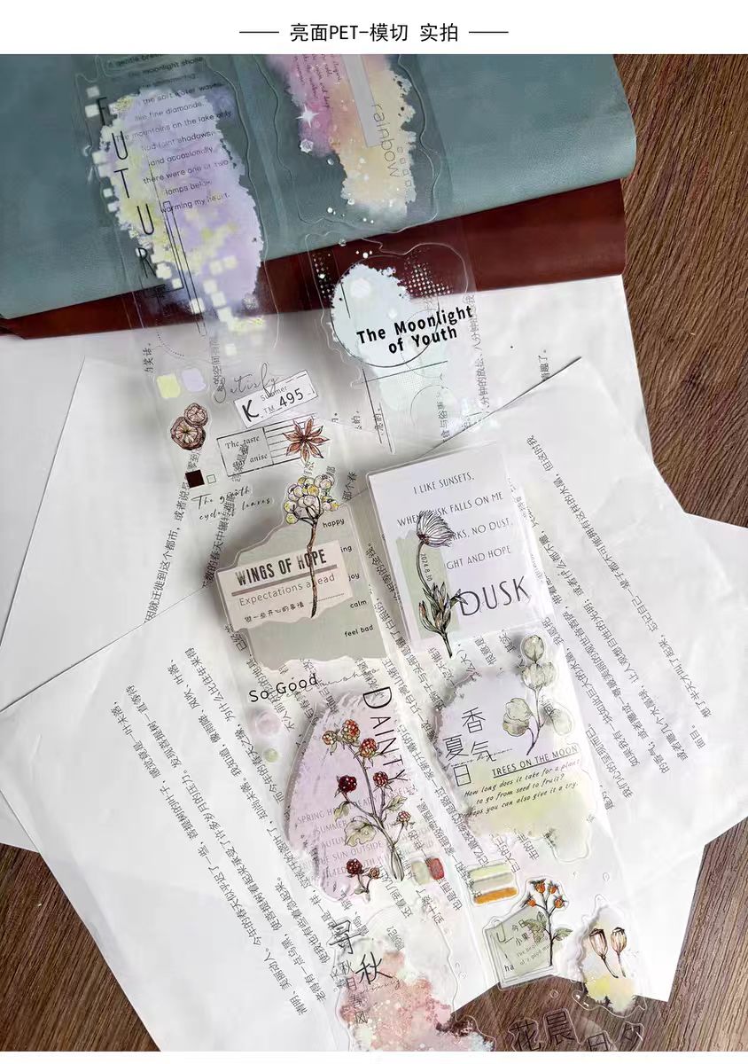 Journal pre-cut tape (5cm*6m/roll)