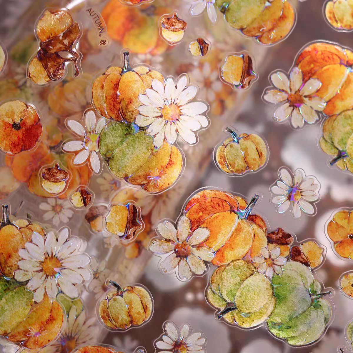 Journal pre-cut tape (6cm*6m/roll)