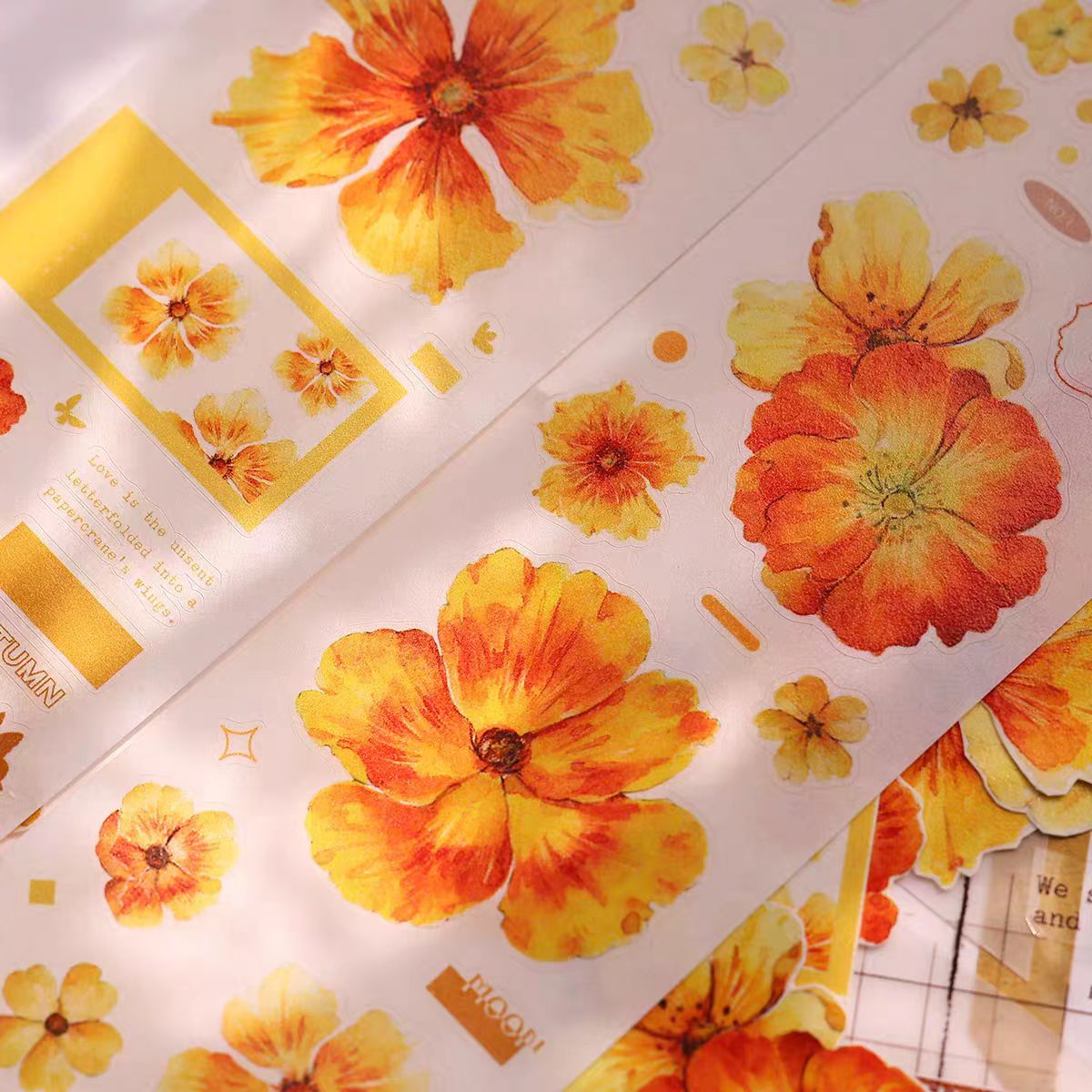 Journal pre-cut tape (5cm*6m/roll)