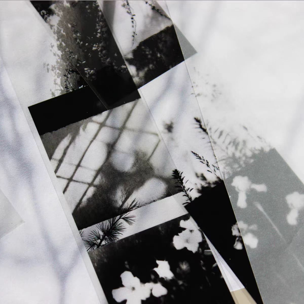 Journal tape (5m/roll)