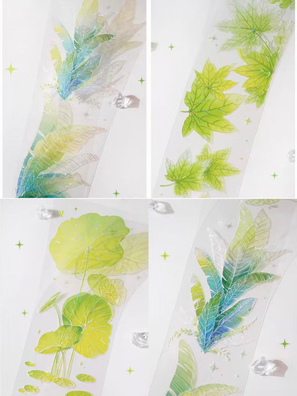 Journal PET-tape (5 m/rulle)