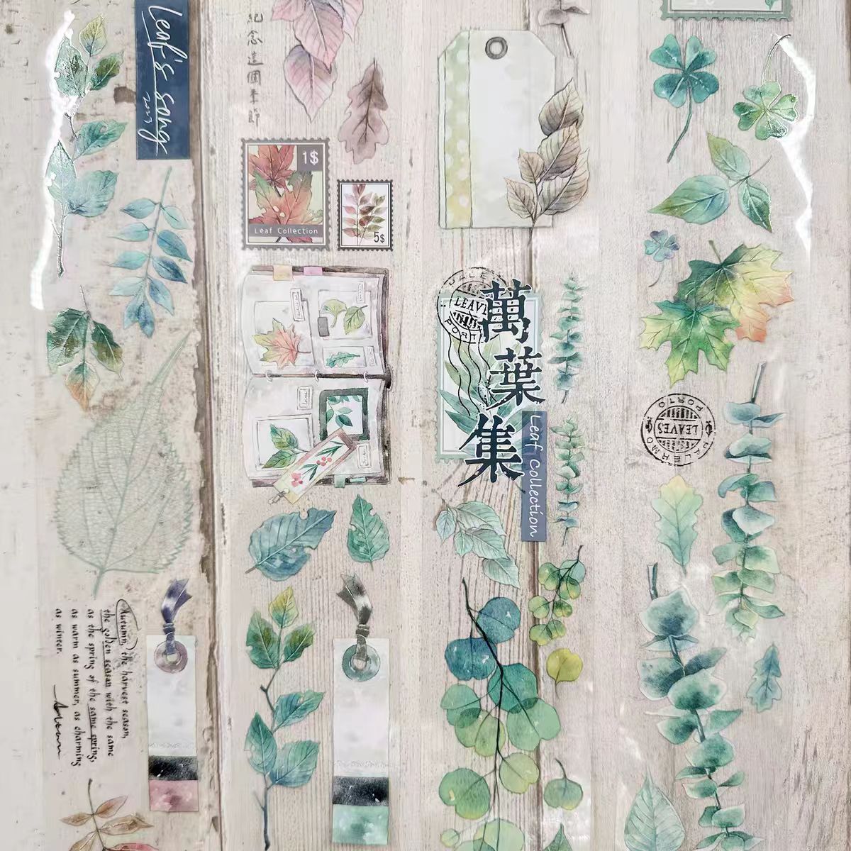 Plant Design Clear PET Decorative Tape | Aesthetic Journal Supplies (5cm*10m/roll)