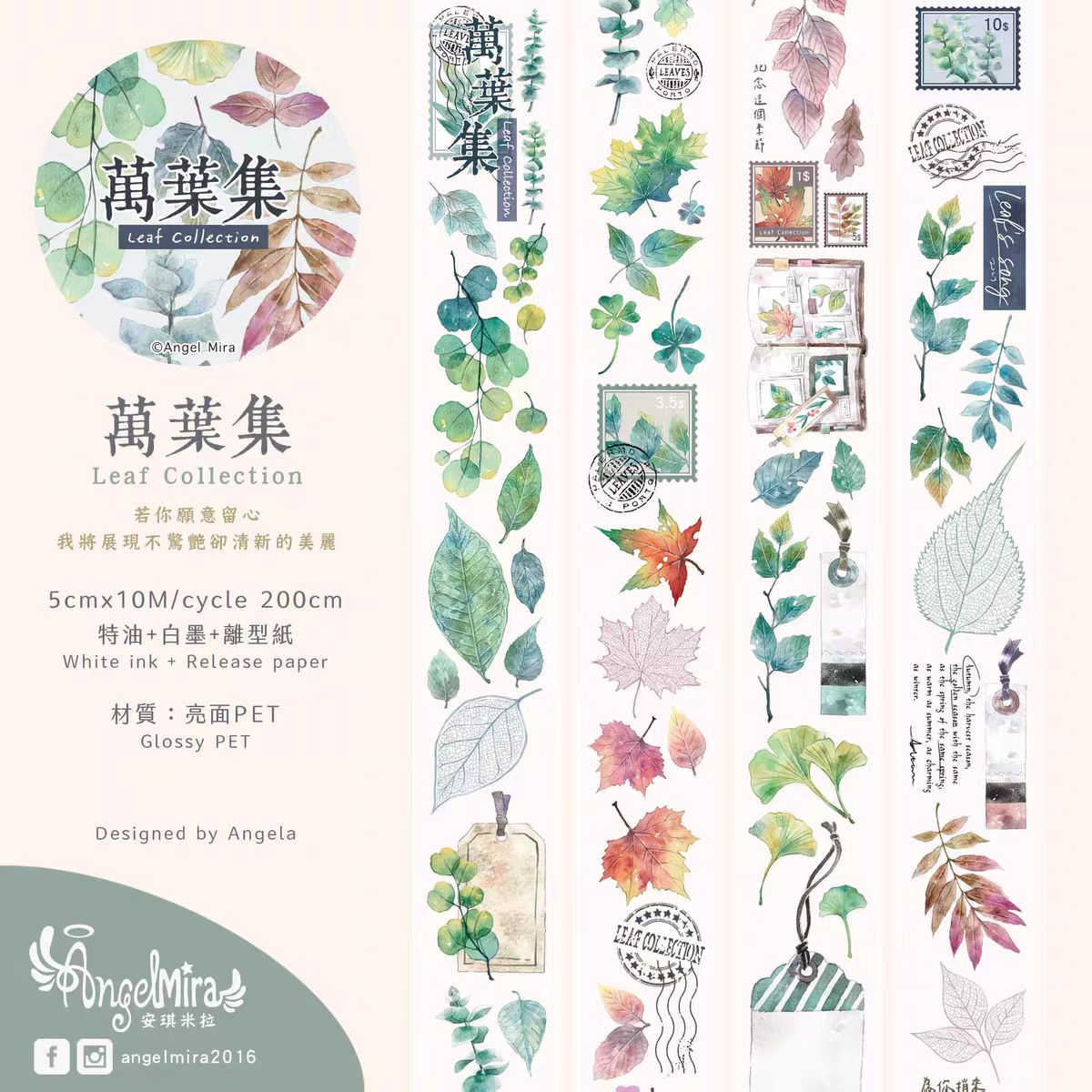 Plant Design Clear PET Decorative Tape | Aesthetic Journal Supplies (5cm*10m/roll)
