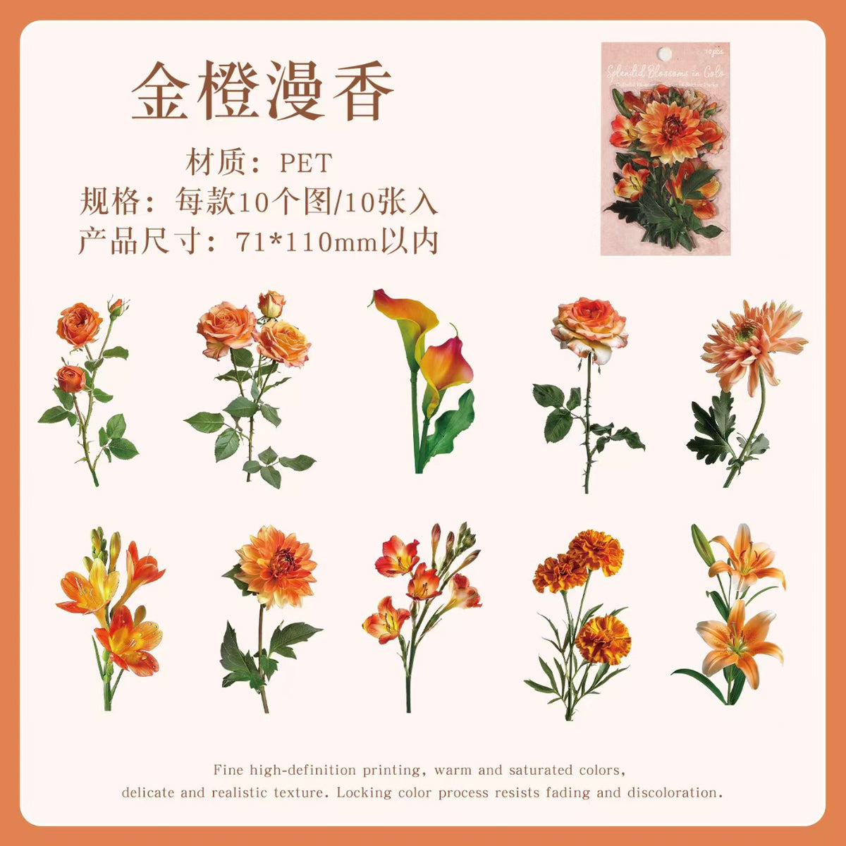 Journal flower PET sticker packs (10pcs/pack)