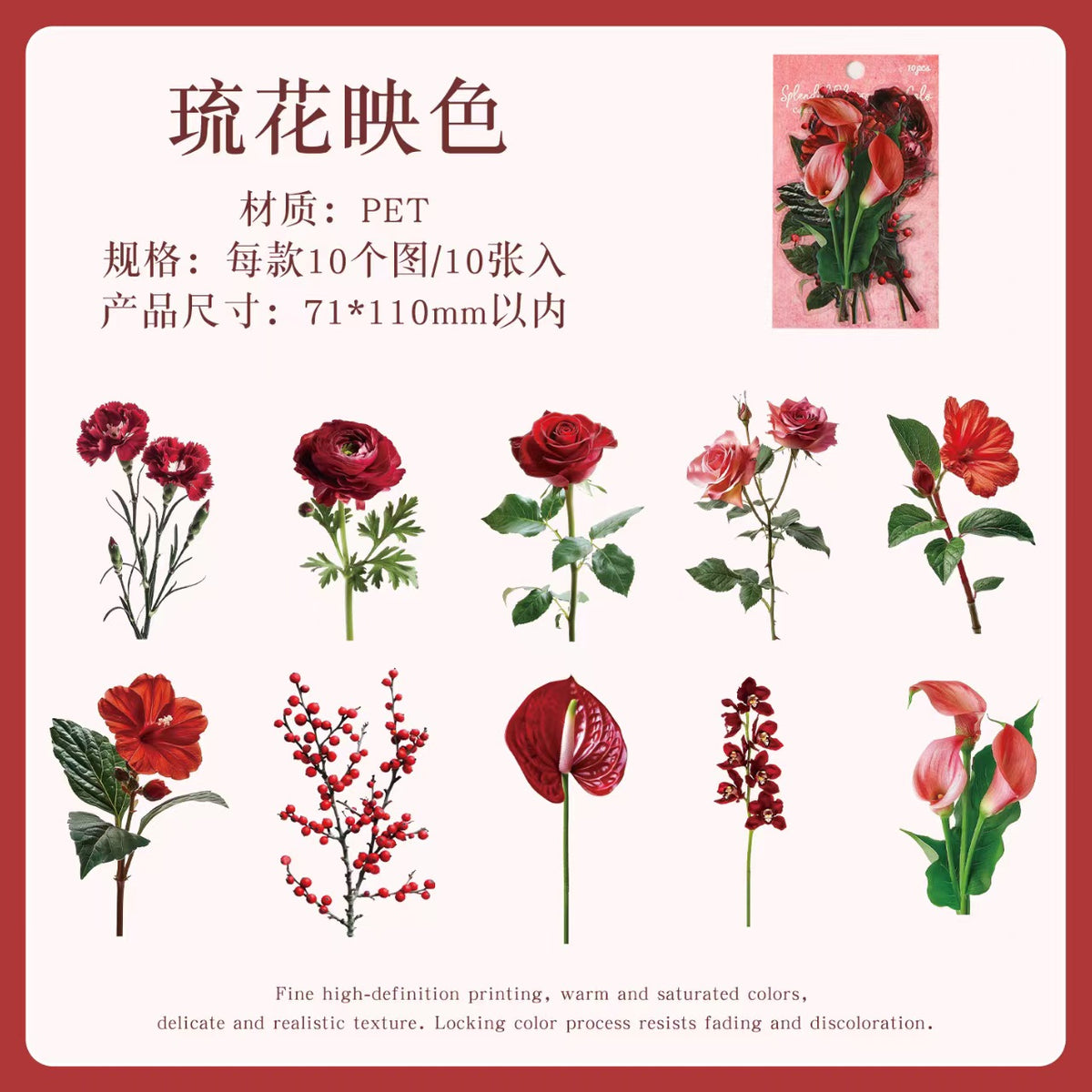 Journal flower PET sticker packs (10pcs/pack)