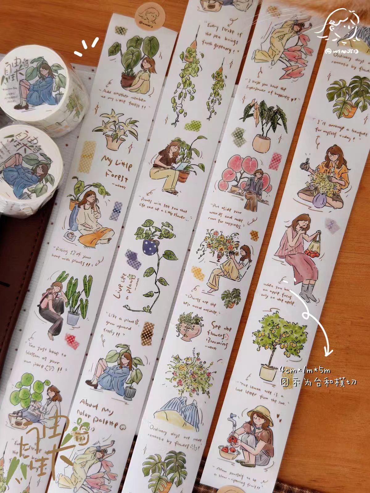 Journal character pre-cut PET tape (5m/roll)