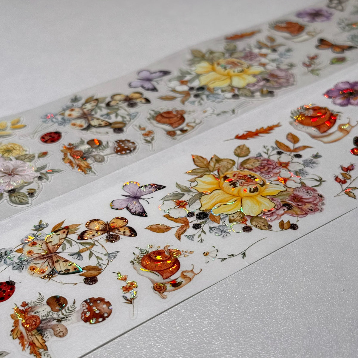 Pre-cut Golden Harvest Wide Washi/PET Tape (Seashell Gilded) 5m/roll