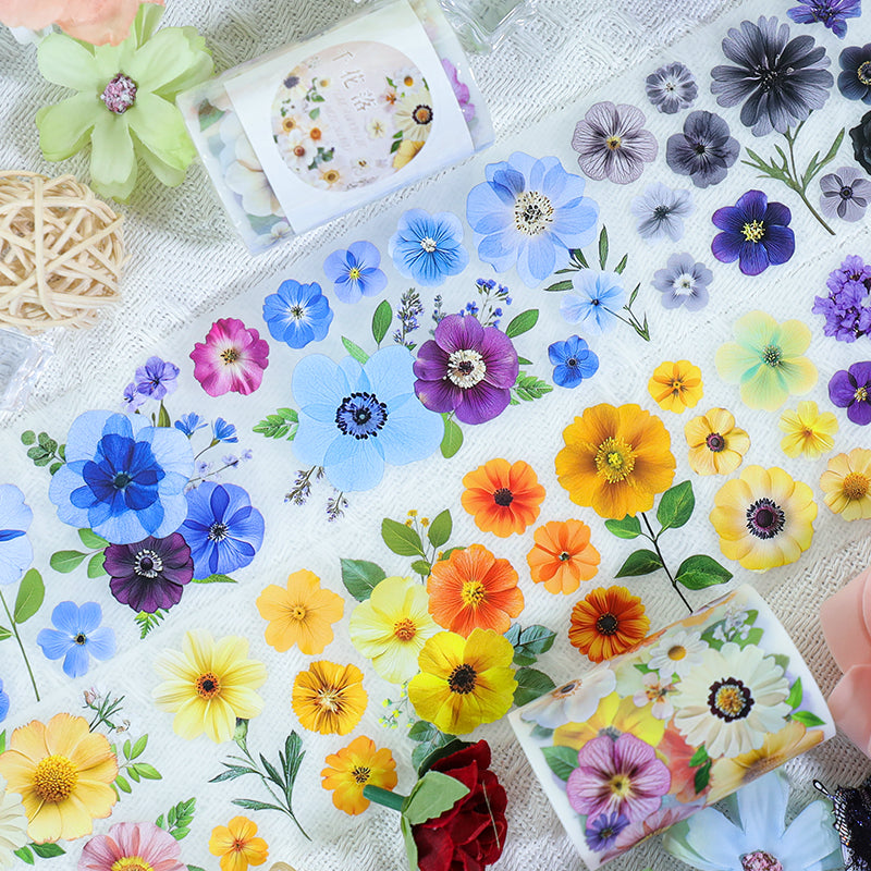 Journal PET tape (2m/roll)