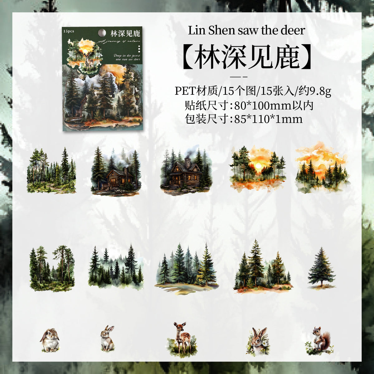 Journal PET sticker pack