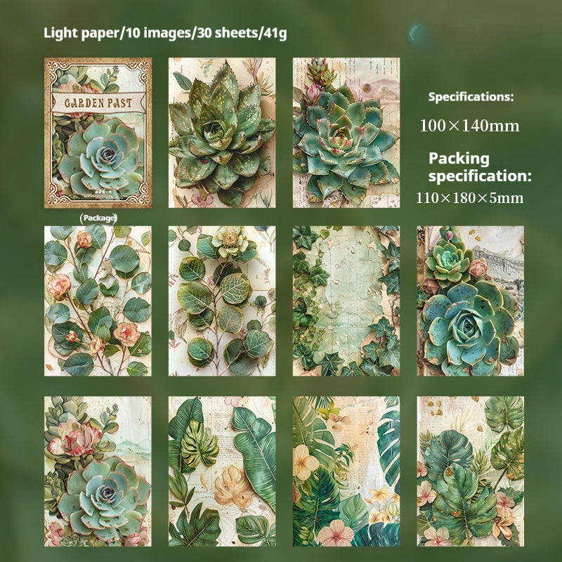 Paquetes de papel de periódico (jardín)
