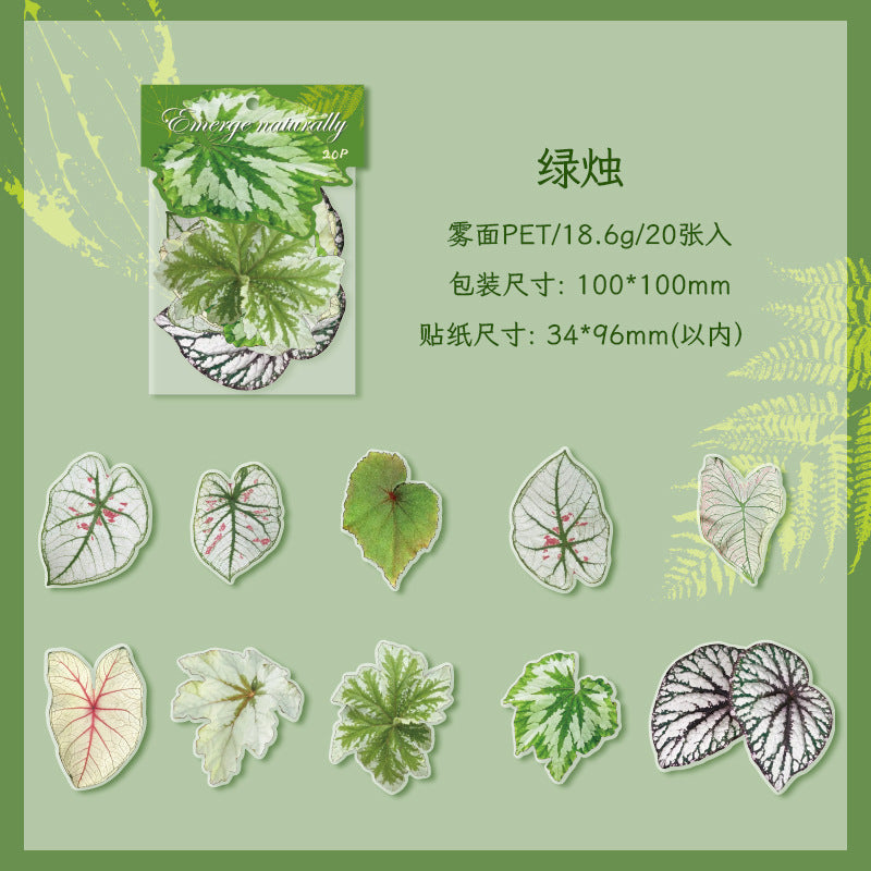 Journal Matte PET sticker packs (Leaf)