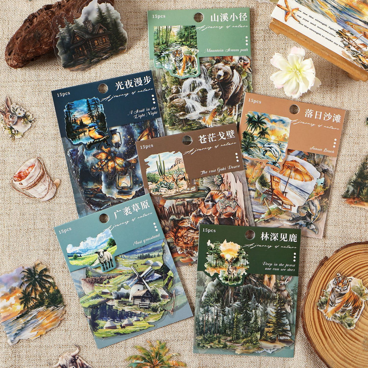 Journal PET sticker pack