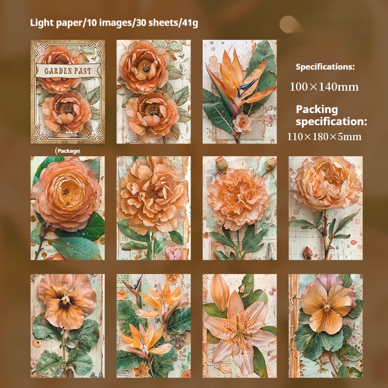 Paquetes de papel de periódico (jardín)