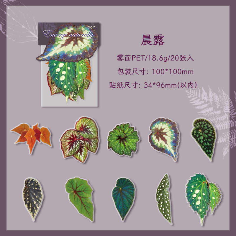 Journal Matte PET sticker packs (Leaf)