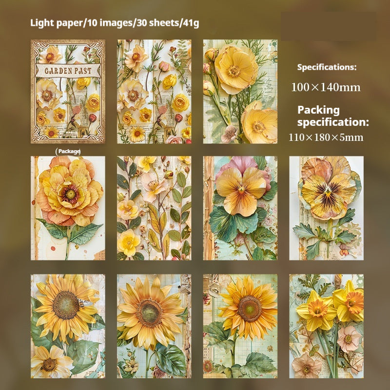 Paquetes de papel de periódico (jardín)