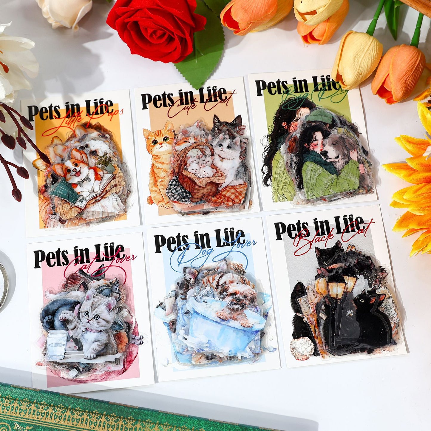 Journal PET sticker packs (Cat)