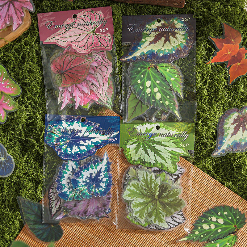 Journal Matte PET sticker packs (Leaf)