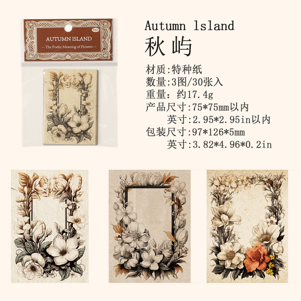 Journal paper packs (Floral border)