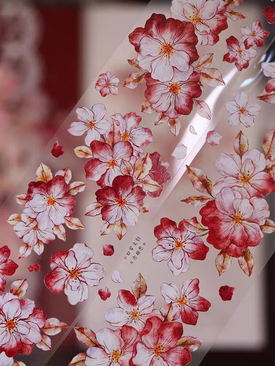 Journal tape (5.5cm*6m/roll)