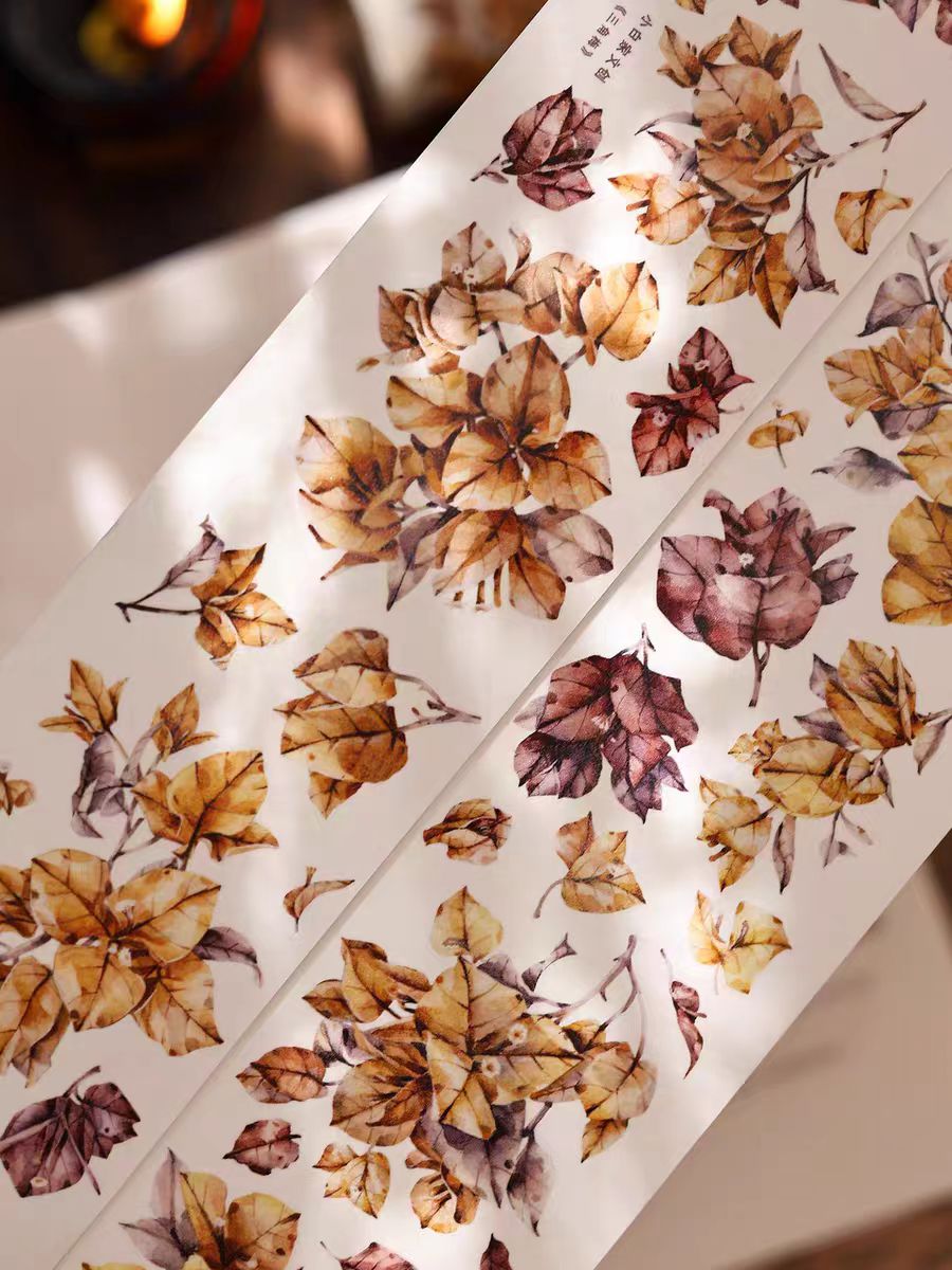 Journal tape (5.5cm*6m/roll)