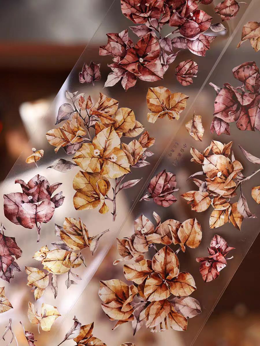 Journal tape (5.5cm*6m/roll)