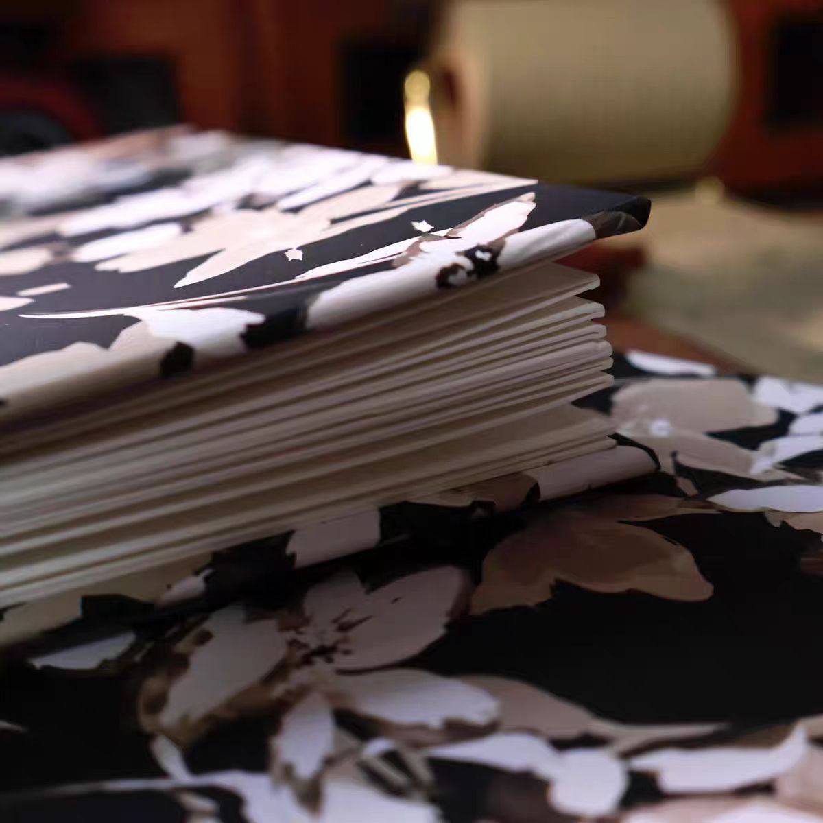 Journal notebook (Blank accordion pages) size:11.1*19.6cm