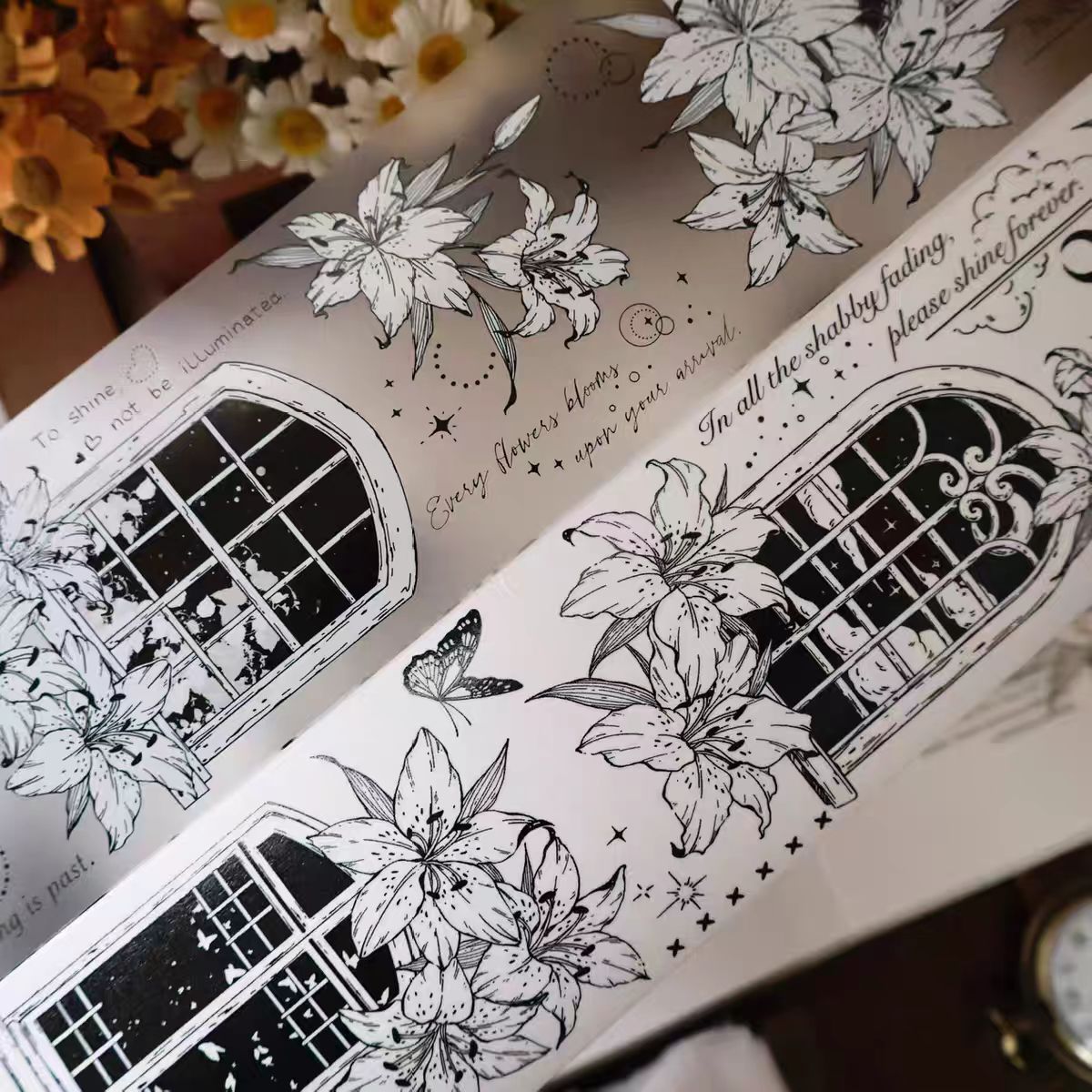 Journal tape (5m/roll) Loop:6*100cm