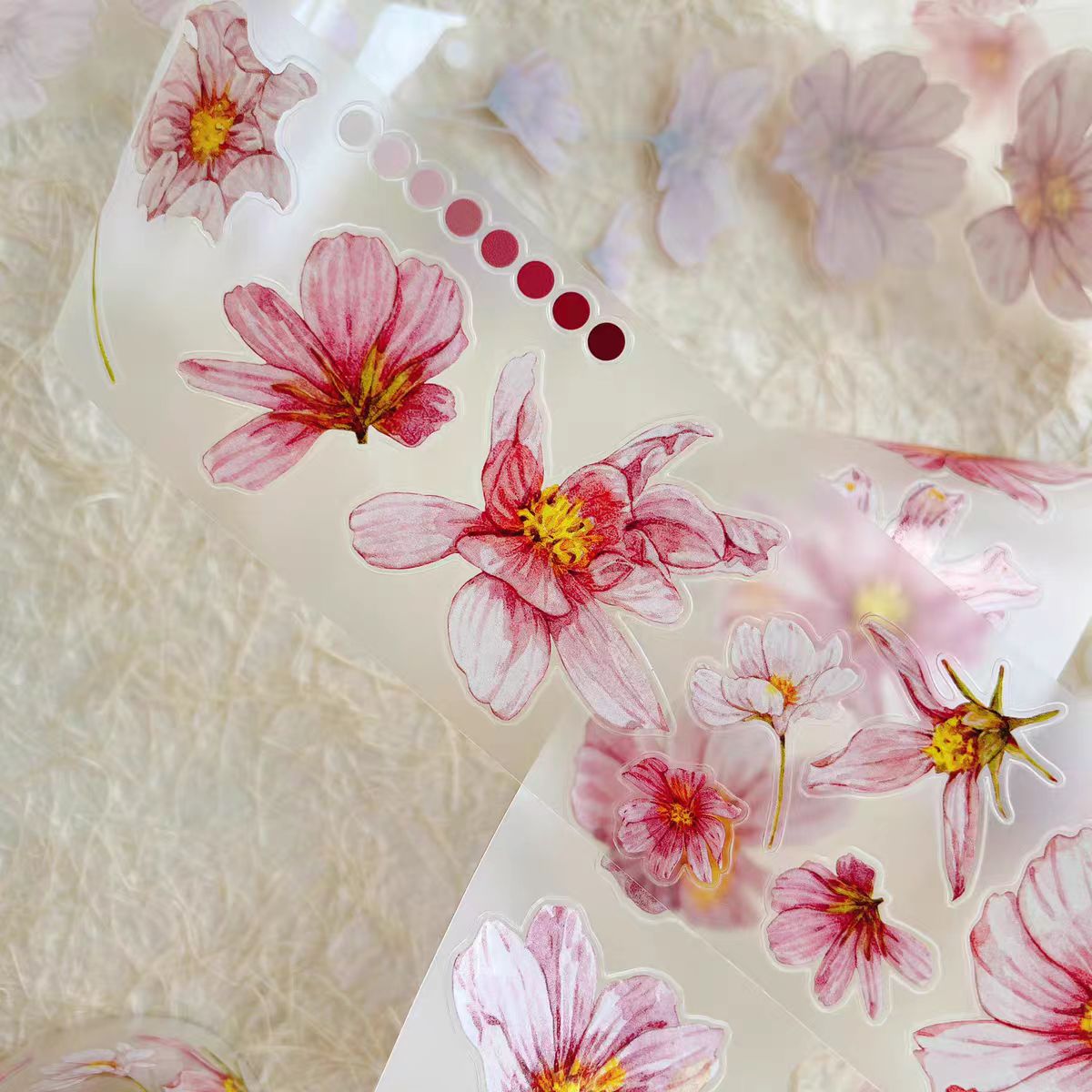 Journal tape (5cm*5m/roll) Dingding