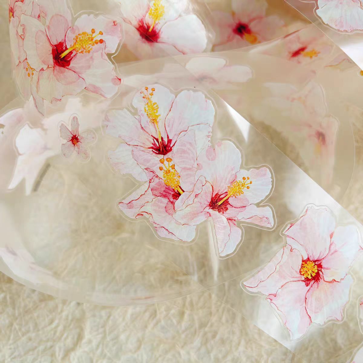 Journal tape (5cm*5m/roll) Dingding