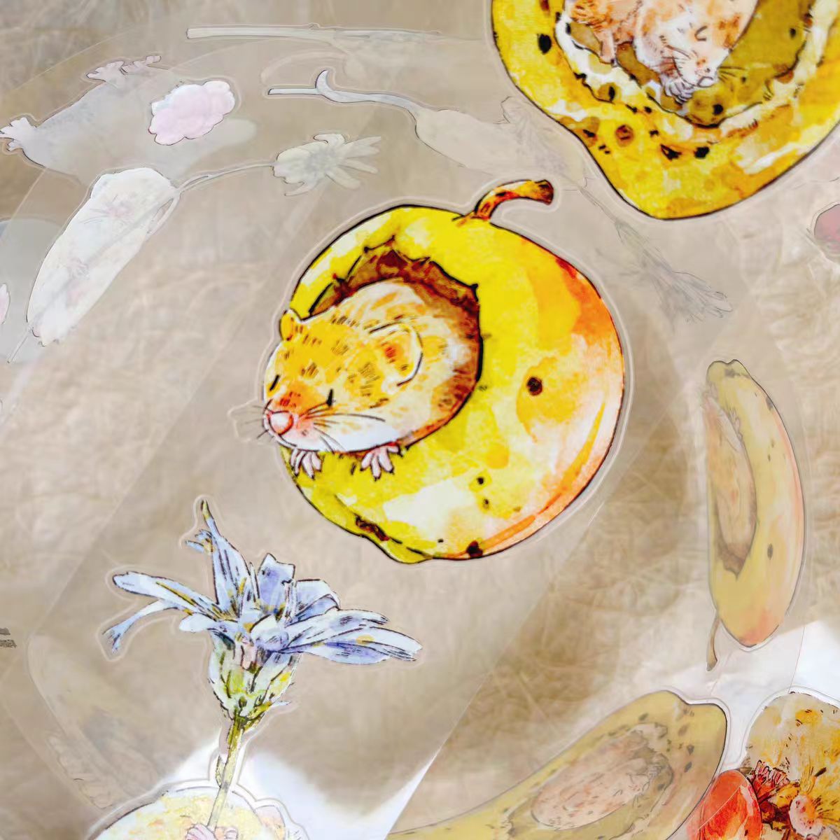 Journal tape (5cm*5m/roll) Dingding