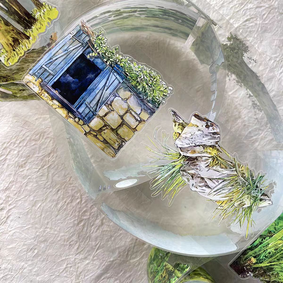 Journal tape (6cm*10m/roll)  Dingding