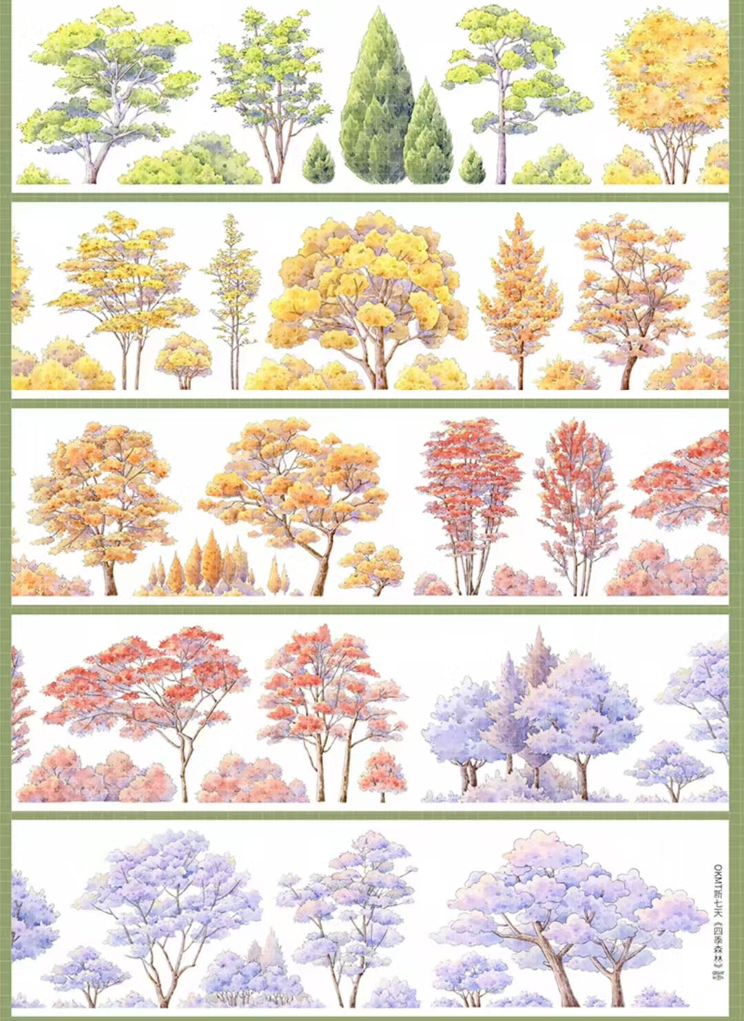 Journal PET tape (5m/roll)