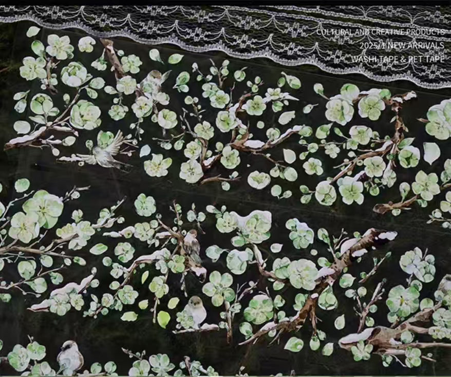 Journal PET tape (5m/roll)