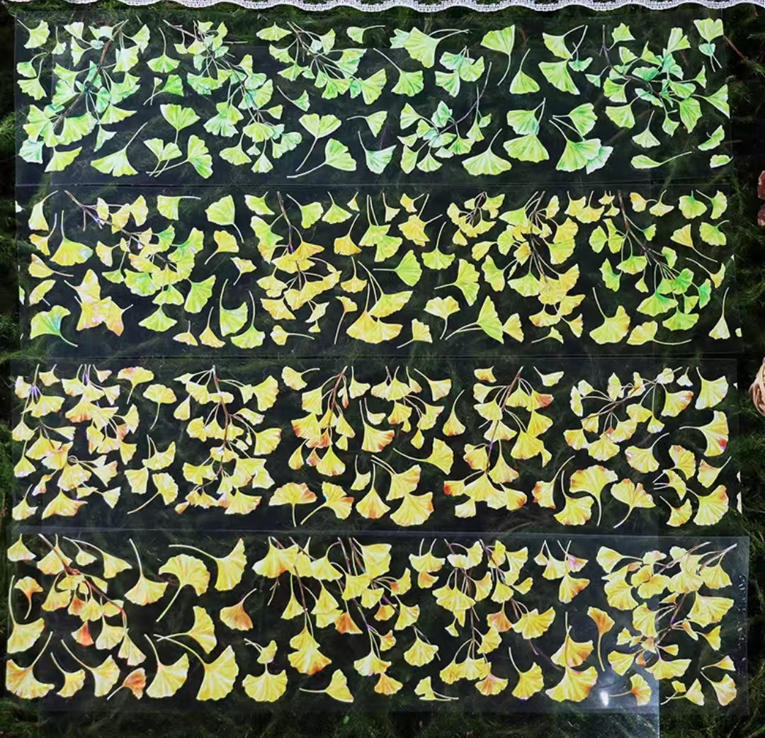 Journal PET tape (5m/roll)