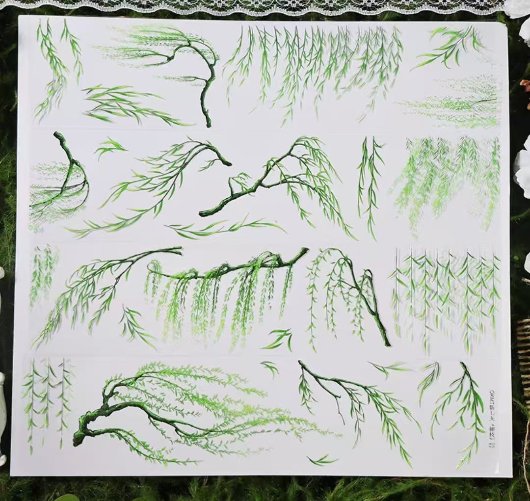 Journal PET tape (5m/roll)