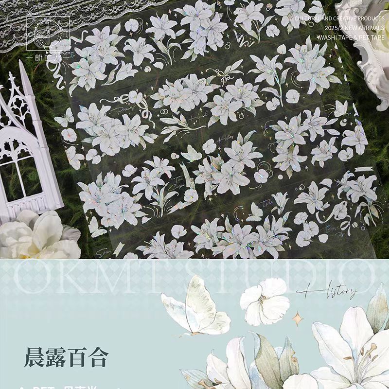 Journal PET tape (5m/roll)