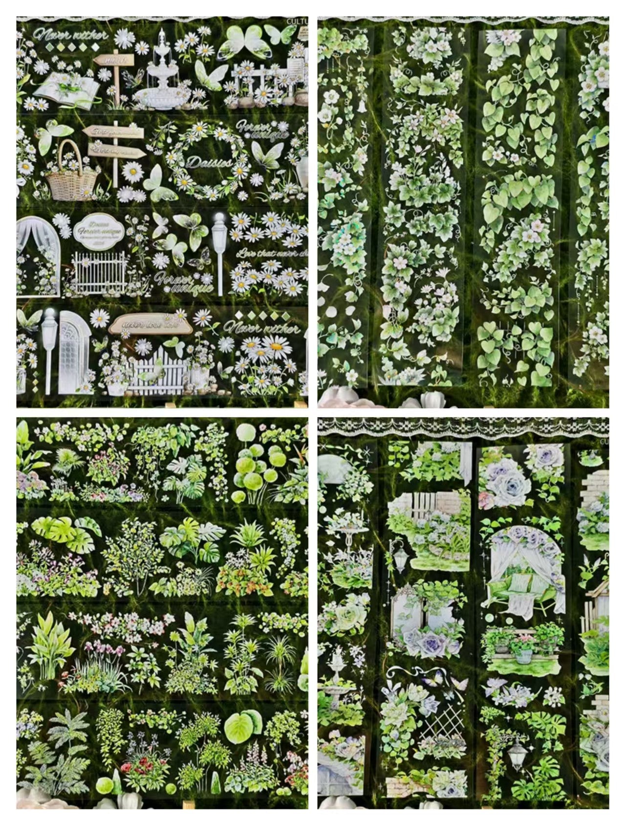 Journal PET tape (Plant)5m/roll