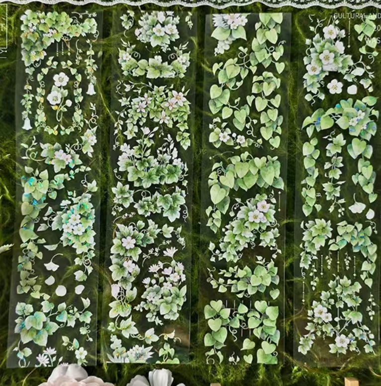 Journal PET tape (Plant)5m/roll