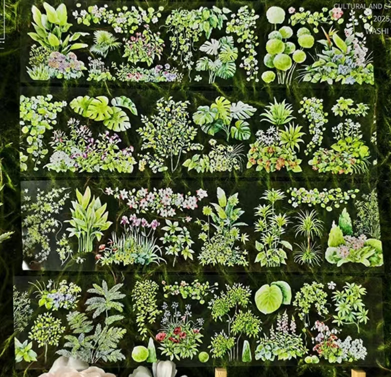 Journal PET tape (Plant)5m/roll