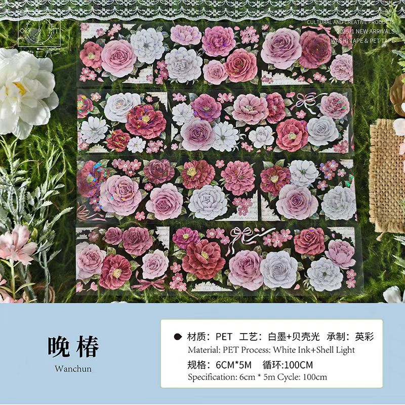 Journal PET tape (5m/roll)