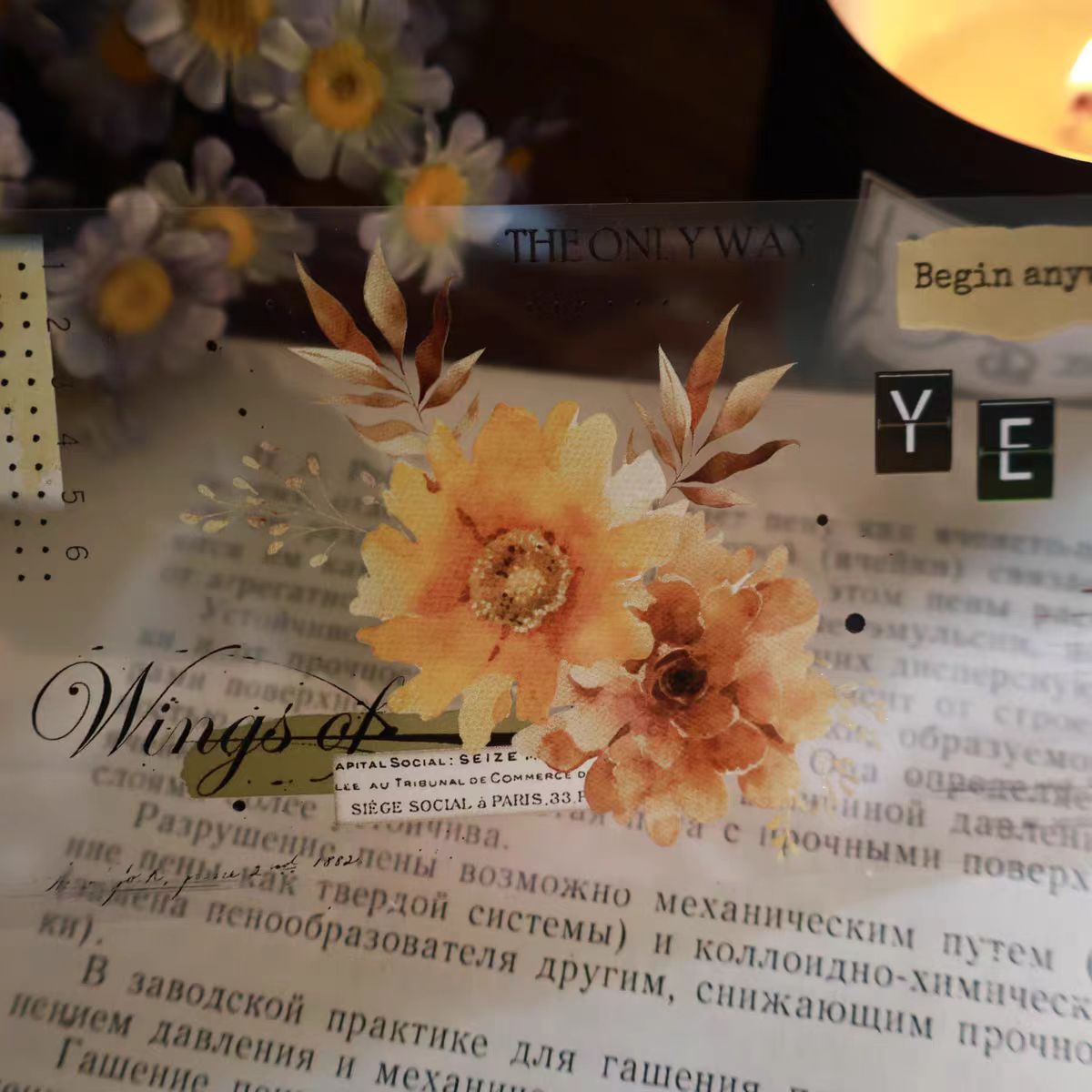 Journal PET/Washi tape (Sunflower) 6cm*5m/roll