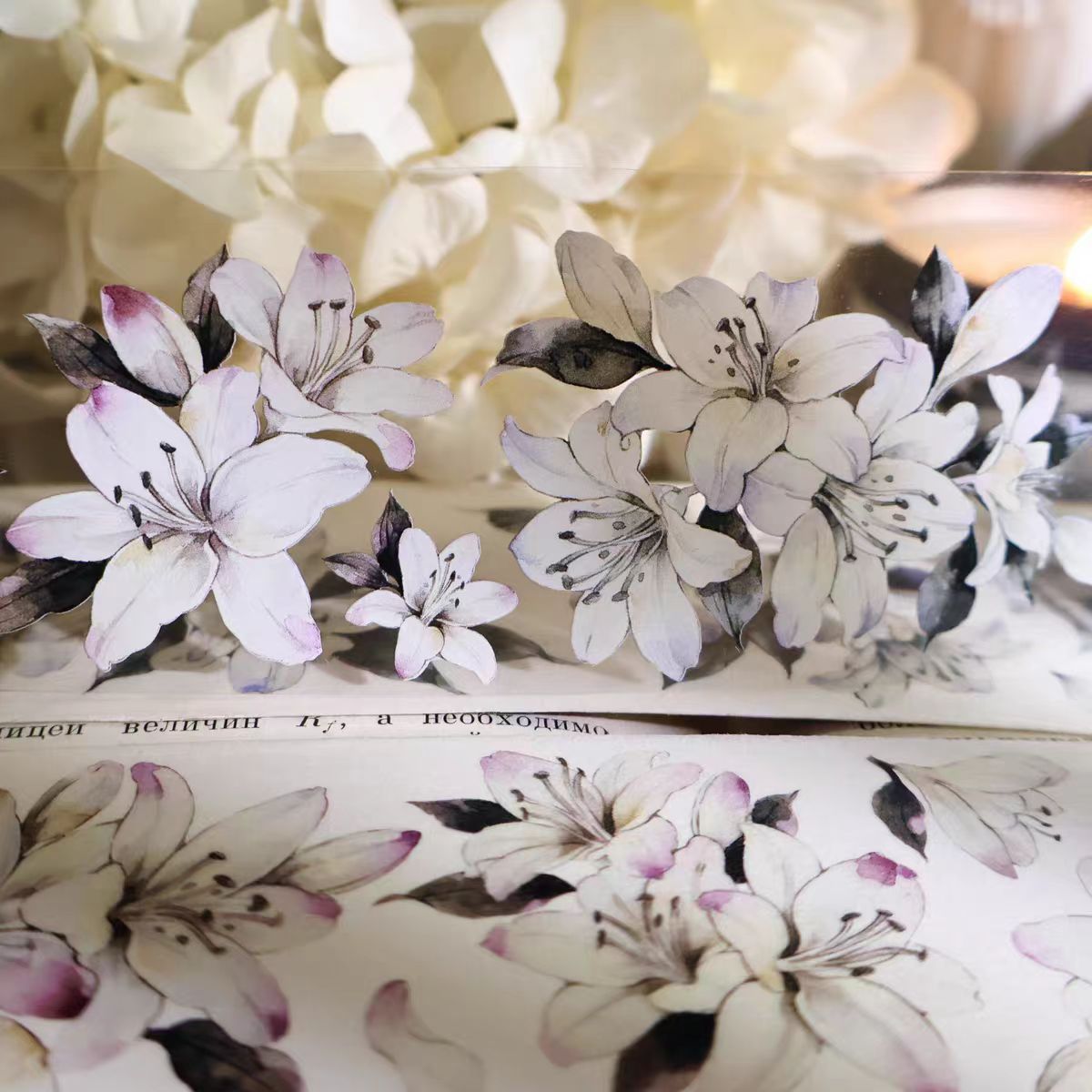 Journal PET/Washi tape (Lily) 5cm*5m/roll