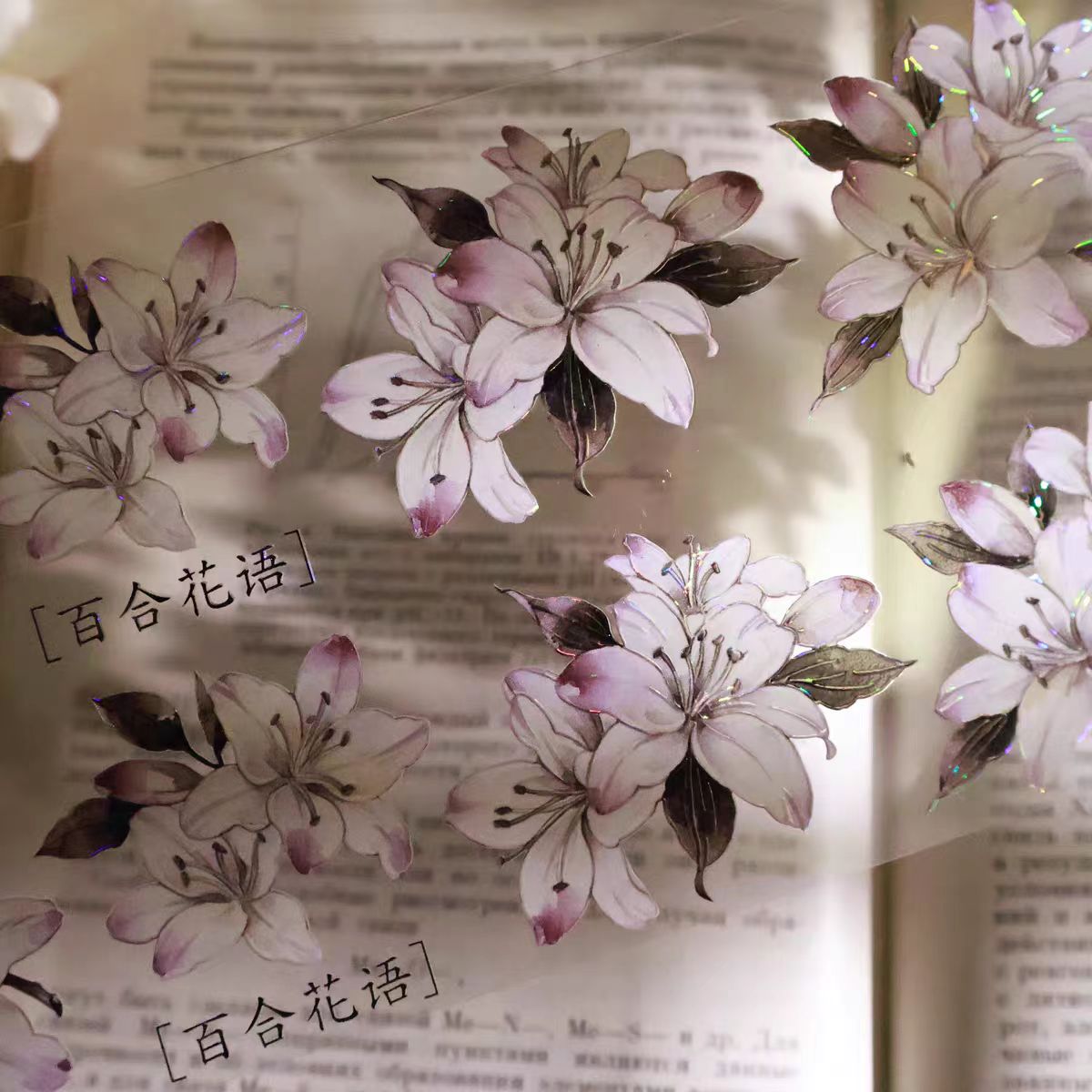 Journal PET/Washi tape (Lily) 5cm*5m/roll