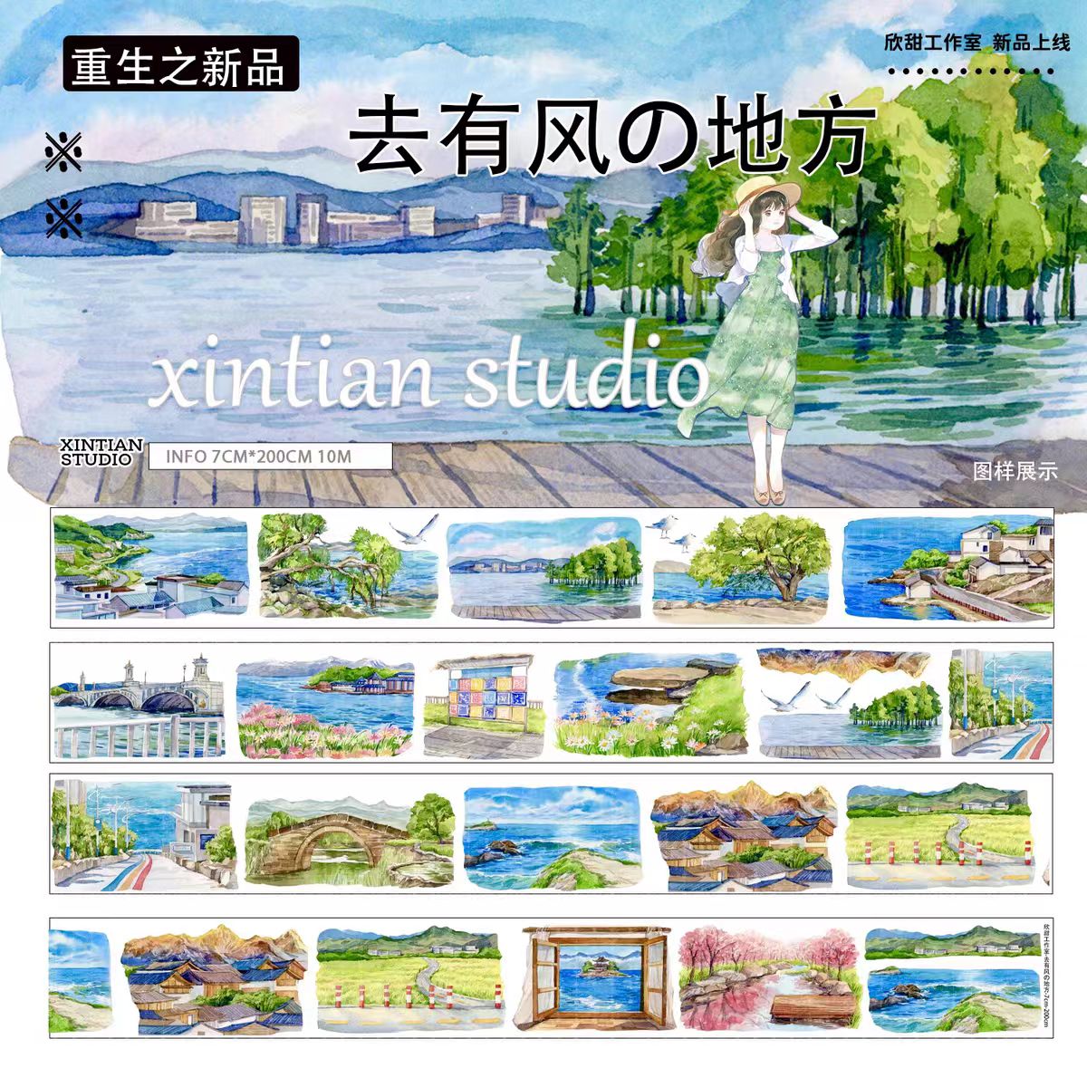 Journal landscape PET tape (10m/roll)