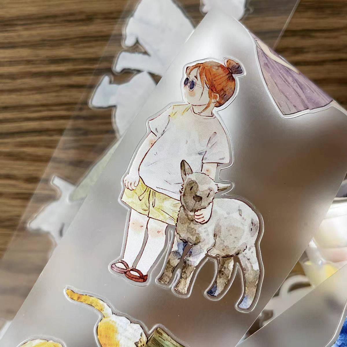 Journal tape (5cm*6m/roll)  Dingding