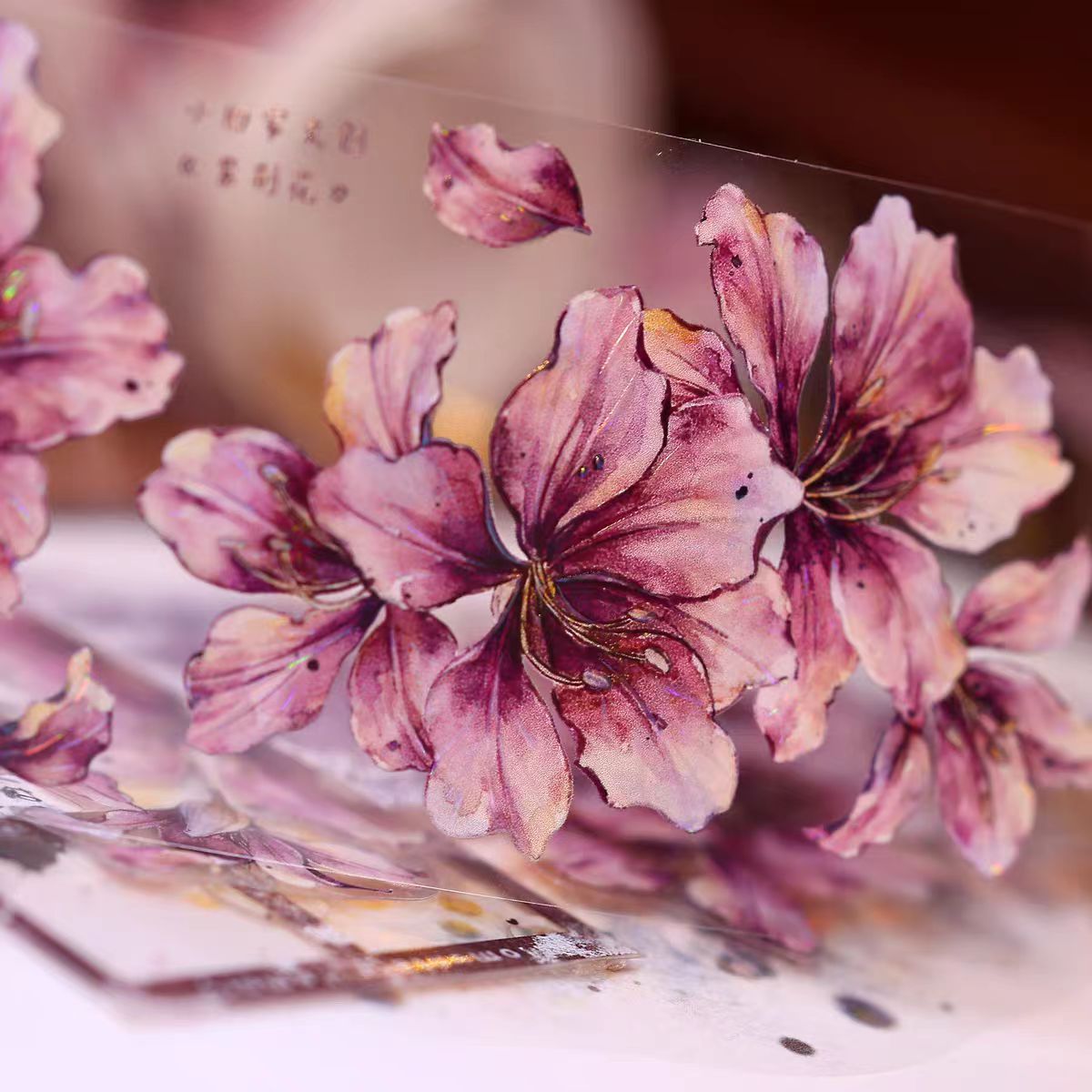 Journal tape (5cm*6m/roll)